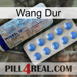 Hard Wang 39